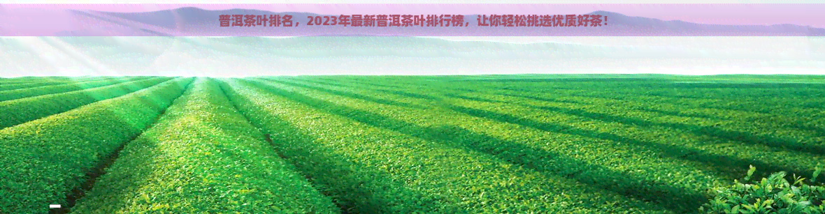 普洱茶叶排名，2023年最新普洱茶叶排行榜，让你轻松挑选优质好茶！