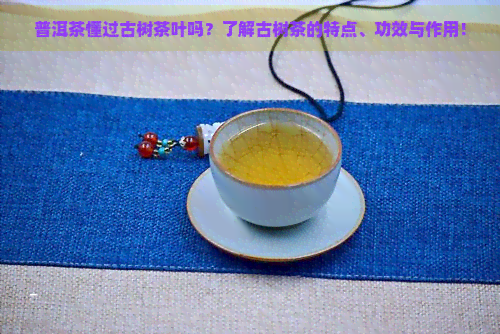 普洱茶懂过古树茶叶吗？了解古树茶的特点、功效与作用！