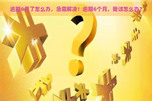 逾期6月了怎么办，急需解决！逾期6个月，我该怎么办？