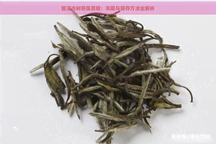 普洱古树茶保质期：年限与保存方法全解析