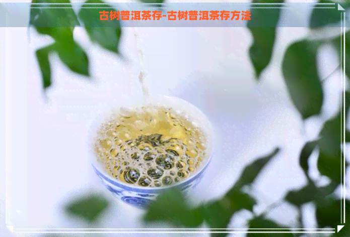 古树普洱茶存-古树普洱茶存方法