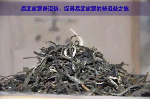 易武家寨普洱茶，探寻易武家寨的普洱茶之旅