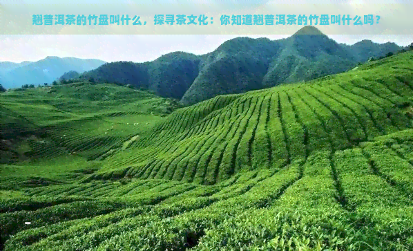 翘普洱茶的竹盘叫什么，探寻茶文化：你知道翘普洱茶的竹盘叫什么吗？