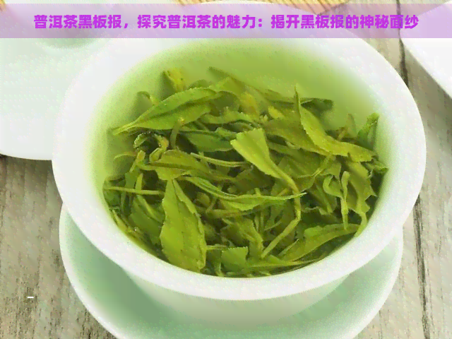 普洱茶黑板报，探究普洱茶的魅力：揭开黑板报的神秘面纱