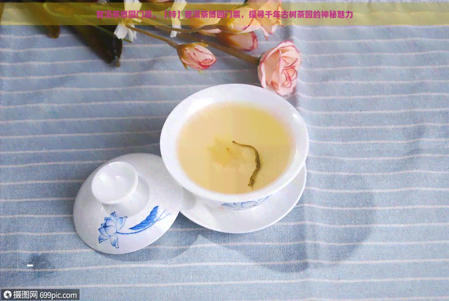 普洱茶博园门票，【特】普洱茶博园门票，探寻千年古树茶园的神秘魅力