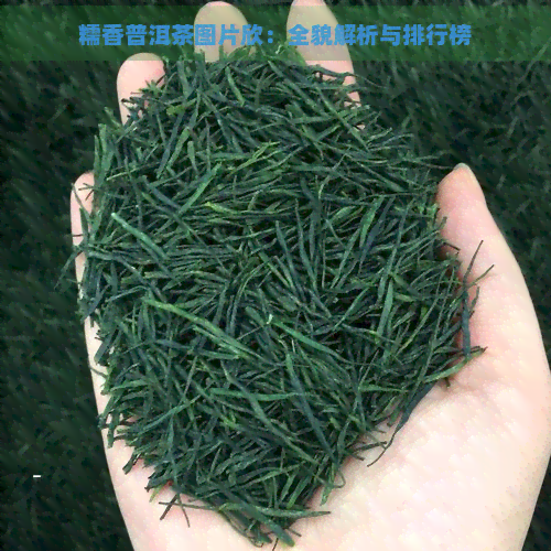 糯香普洱茶图片欣：全貌解析与排行榜