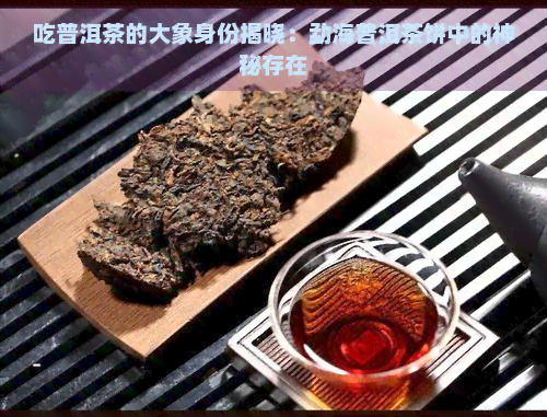 吃普洱茶的大象身份揭晓：勐海普洱茶饼中的神秘存在