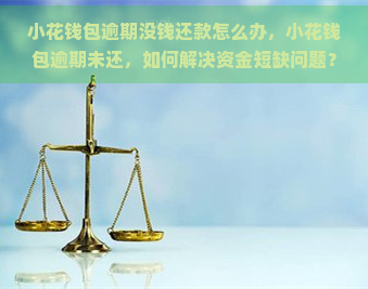 小花钱包逾期没钱还款怎么办，小花钱包逾期未还，如何解决     问题？