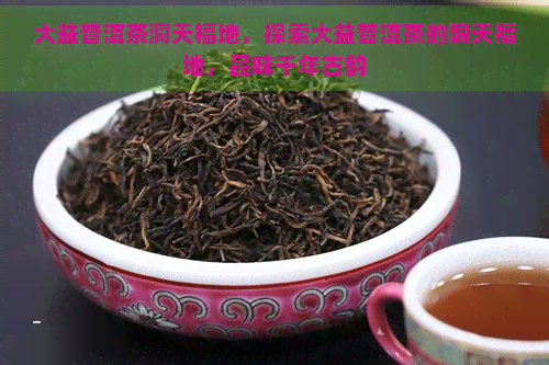 大益普洱茶洞天福地，探索大益普洱茶的洞天福地，品味千年古韵