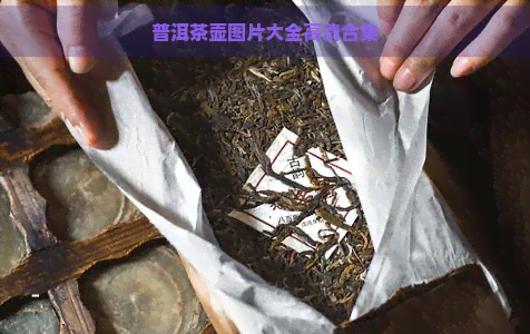 普洱茶壶图片大全高清合集