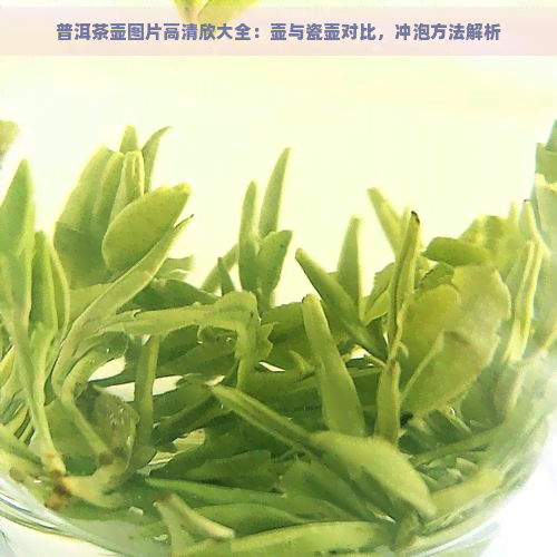 普洱茶壶图片高清欣大全：壶与瓷壶对比，冲泡方法解析