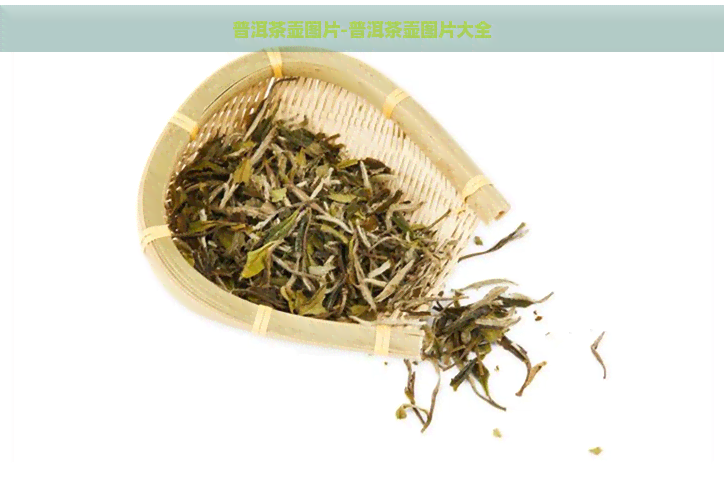 普洱茶壶图片-普洱茶壶图片大全