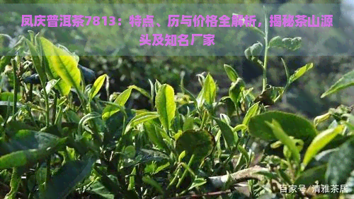 凤庆普洱茶7813：特点、历与价格全解析，揭秘茶山源头及知名厂家