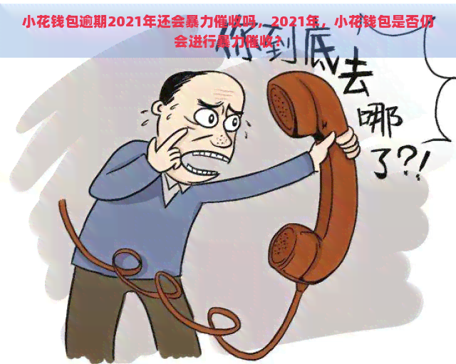 小花钱包逾期2021年还会吗，2021年，小花钱包是否仍会进行？