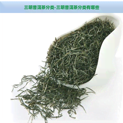 三明普洱茶分类-三明普洱茶分类有哪些