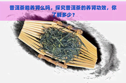 普洱茶能养肾么吗，探究普洱茶的养肾功效，你了解多少？