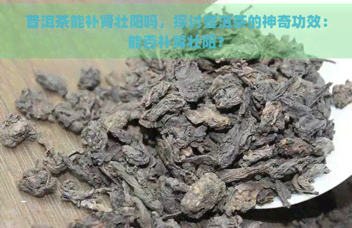 普洱茶能补肾壮阳吗，探讨普洱茶的神奇功效：能否补肾壮阳？