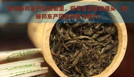 普洱茶邦东产区在哪里，探寻普洱茶的源头：揭秘邦东产区的位置与魅力