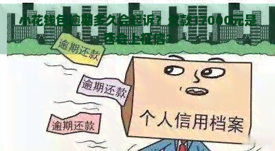 小花钱包逾期多久会起诉？欠款17000元是否会上？