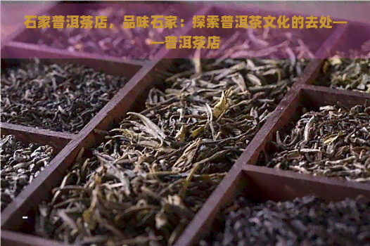 石家普洱茶店，品味石家：探索普洱茶文化的去处——普洱茶店