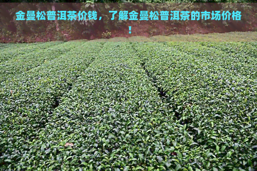 金曼松普洱茶价钱，了解金曼松普洱茶的市场价格！