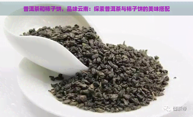 普洱茶和柿子饼，品味云南：探索普洱茶与柿子饼的美味搭配