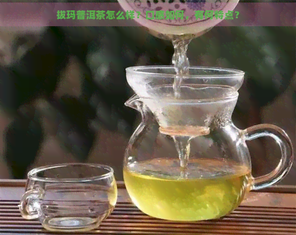 拔玛普洱茶怎么样？口感如何，有何特点？