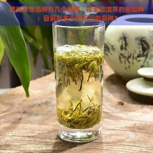 普洱茶新品种有几个品种，探索普洱茶的新品种：目前有多少种不同的品种？