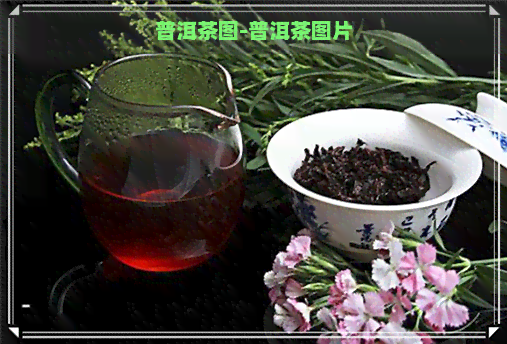 普洱茶图-普洱茶图片