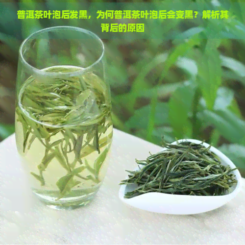 普洱茶叶泡后发黑，为何普洱茶叶泡后会变黑？解析其背后的原因