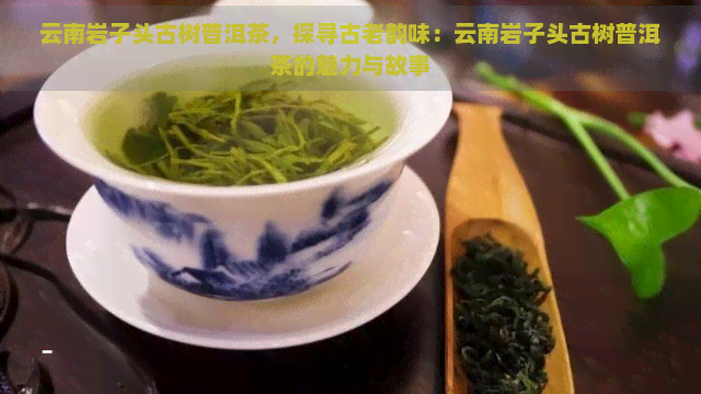 云南岩子头古树普洱茶，探寻古老韵味：云南岩子头古树普洱茶的魅力与故事