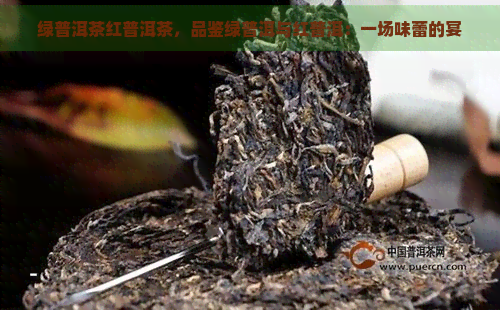 绿普洱茶红普洱茶，品鉴绿普洱与红普洱：一场味蕾的宴