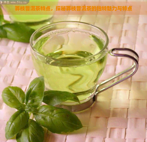 莽枝普洱茶特点，探秘莽枝普洱茶的独特魅力与特点