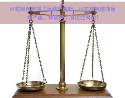 小花钱包逾期了后果严重吗，小花钱包逾期后果严重，你需要了解这些风险！