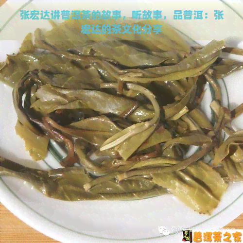 张宏达讲普洱茶的故事，听故事，品普洱：张宏达的茶文化分享