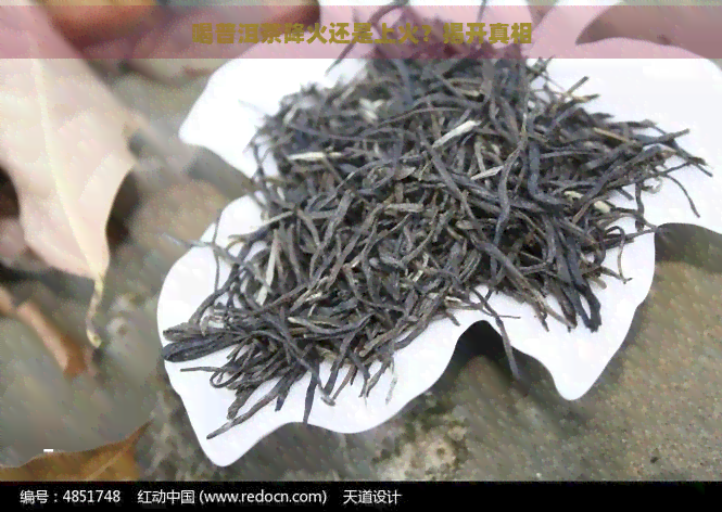 喝普洱茶降火还是上火？揭开真相