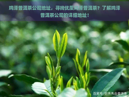 鸡泽普洱茶公司地址，寻找优质鸡泽普洱茶？了解鸡泽普洱茶公司的详细地址！