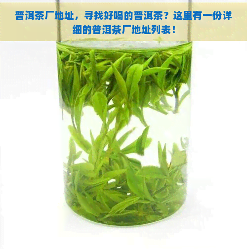 普洱茶厂地址，寻找好喝的普洱茶？这里有一份详细的普洱茶厂地址列表！