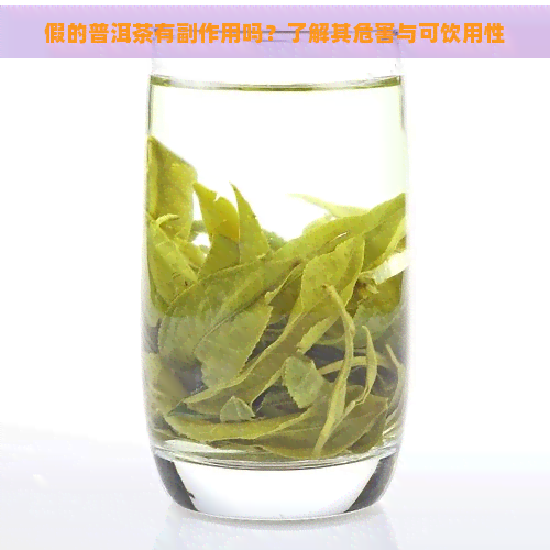 假的普洱茶有副作用吗？了解其危害与可饮用性