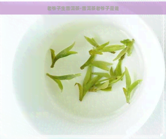 老爷子生普洱茶-普洱茶老爷子是谁