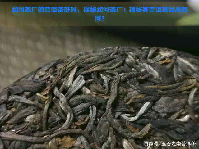 勐河茶厂的普洱茶好吗，探秘勐河茶厂：揭秘其普洱茶品质如何？