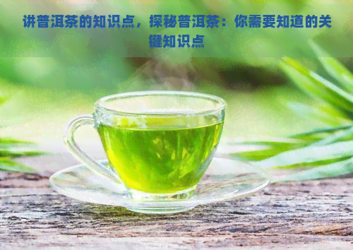 讲普洱茶的知识点，探秘普洱茶：你需要知道的关键知识点