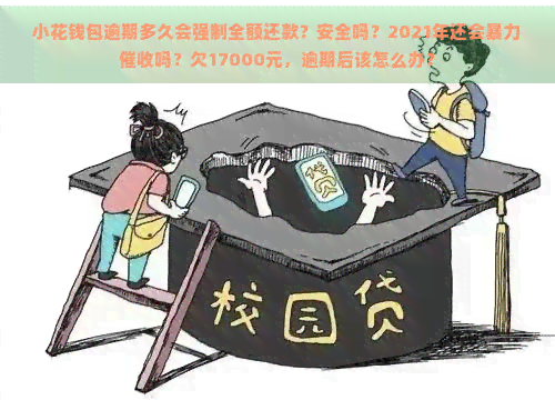 小花钱包逾期多久会强制全额还款？安全吗？2021年还会吗？欠17000元，逾期后该怎么办？