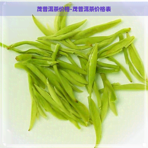 茂普洱茶价格-茂普洱茶价格表