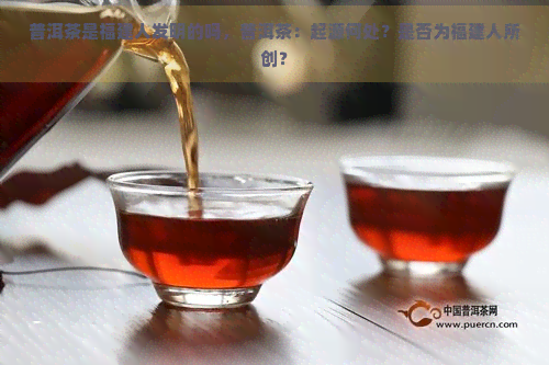 普洱茶是福建人发明的吗，普洱茶：起源何处？是否为福建人所创？