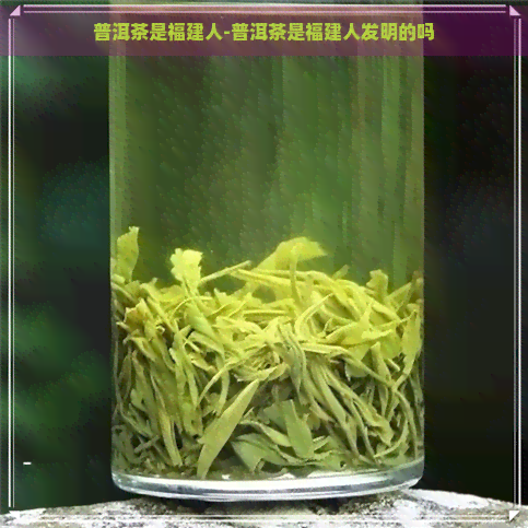 普洱茶是福建人-普洱茶是福建人发明的吗