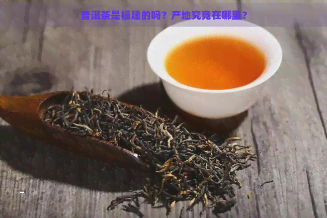 普洱茶是福建的吗？产地究竟在哪里？