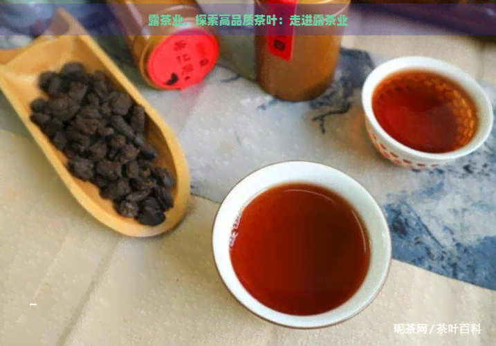 露茶业，探索高品质茶叶：走进露茶业