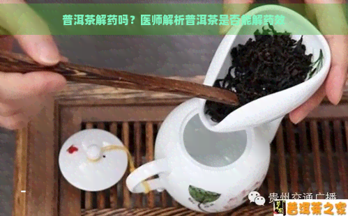 普洱茶解药吗？医师解析普洱茶是否能解药效