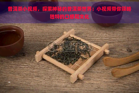 普洱茶小视频，探索神秘的普洱茶世界：小视频带你领略独特的口感和文化